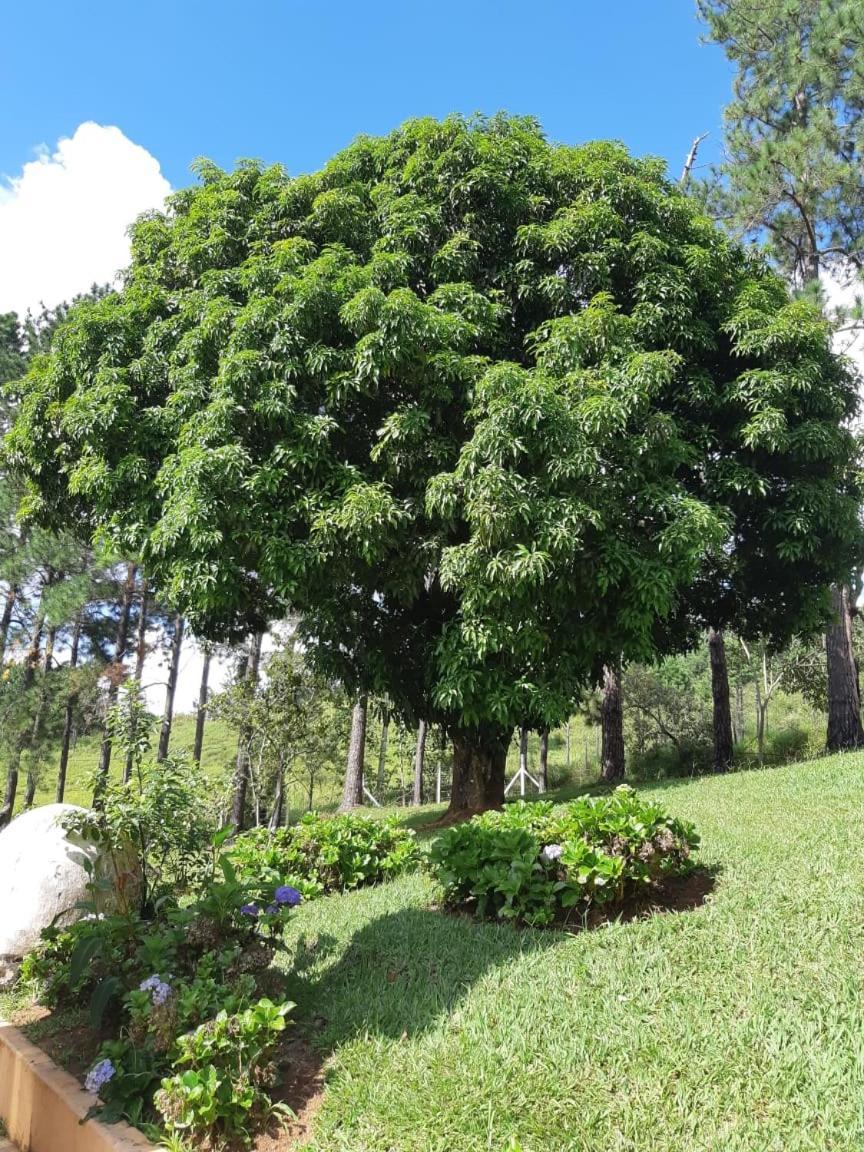 Recanto Das Borboletas Sao Roque  Exterior photo